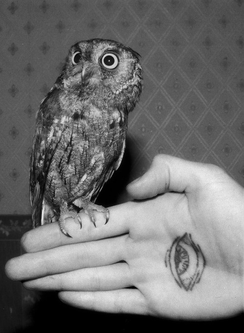 Realist owl eyes on the right inner arm