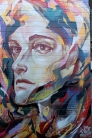 All Fresco Auckland Street Art May 2013 033