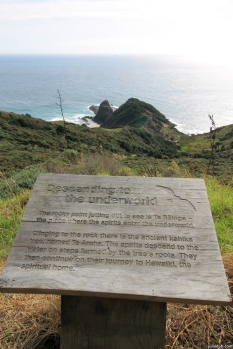 "The rocky point jutting out to sea is Te Reinga the place where the spirits enter the underworld. Clinging to the rock there is the ancient kahika tree, named Te Aroha. The spirits descend to the water on steps formed by the trees roots. They then continue on their journey to Hawaiki, the spiritual home." Cape Reinga